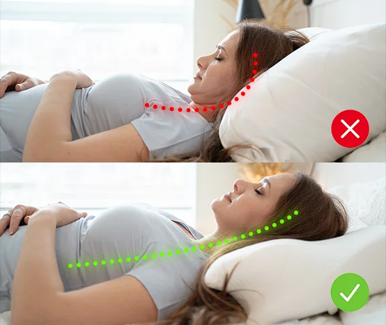 Ergo Z pillow — support and comfort