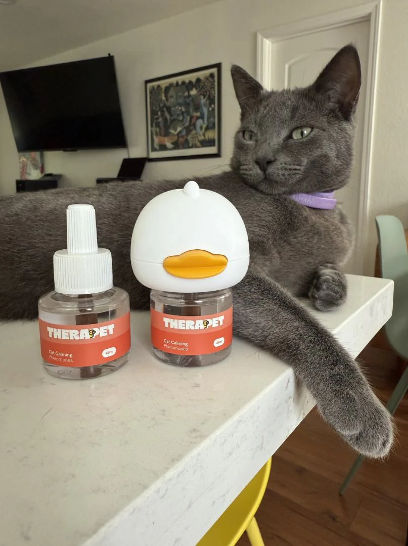 Customer using the product