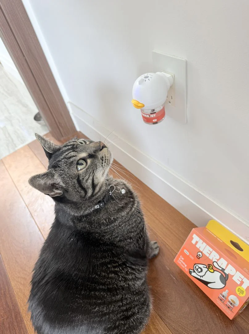 Customer testimonial