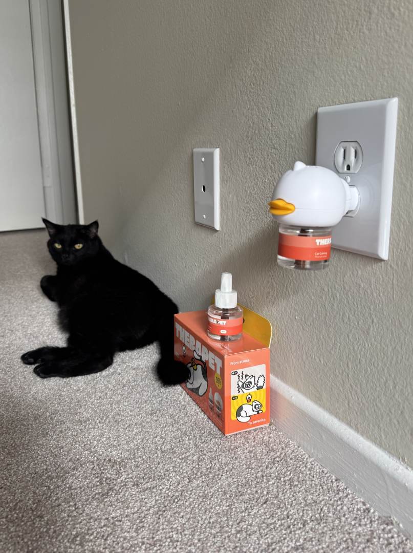 Customer testimonial